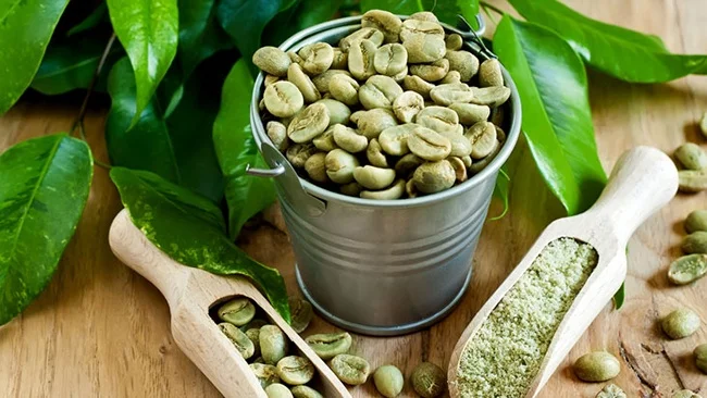 Green coffee bean for diet - Ms.Holiday in 2021
