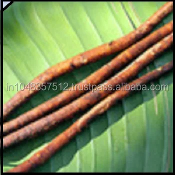 Hot Sale Burdock Root Extract For India Best supplier