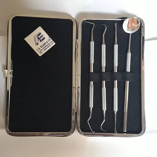 ODM OEM 2024 набор из 4 PRO зубных щупов для чистки зубов инструменты гигиены нержавеющей стали LA ELAHI оптовая продажа с завода