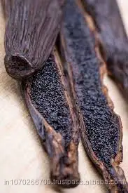 Vanilla Seeds