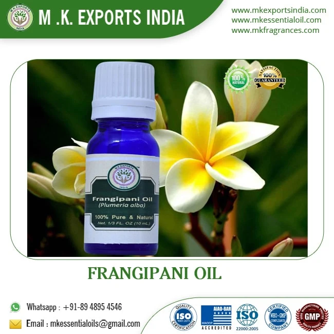 FRANGIPANI ABSOLUTE OIL - SOLVENT EXTRACTED