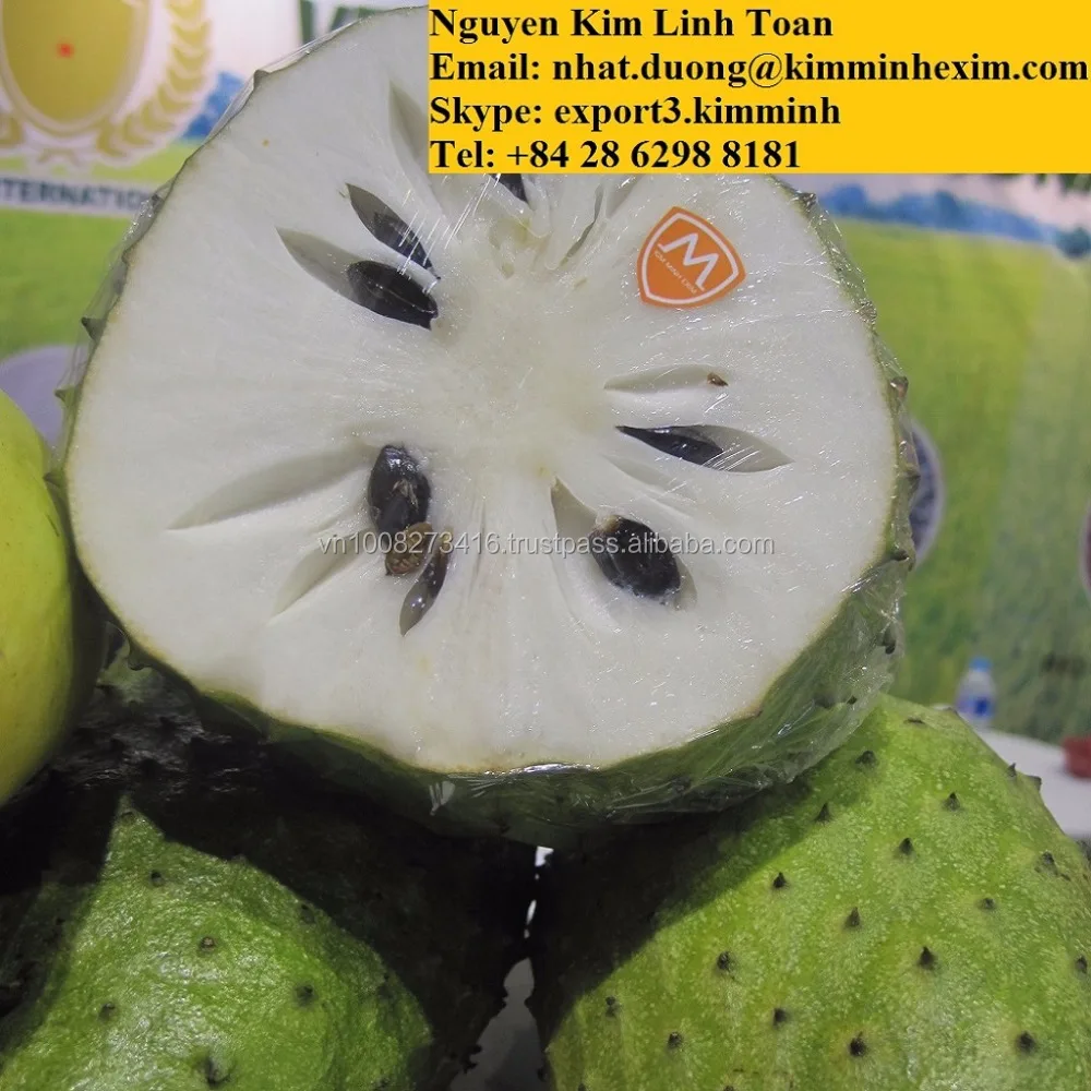 Grade A Fresh Green Graviola Fruit With Cheap Price