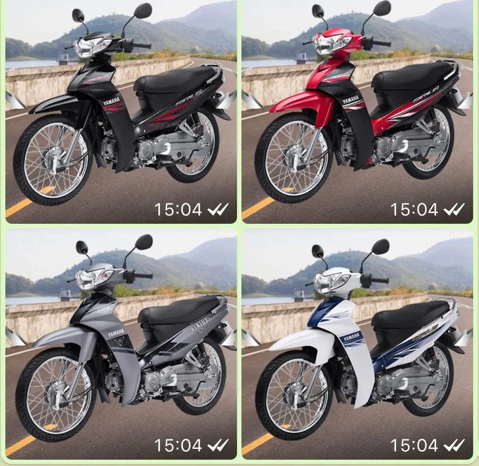 Мотоцикл 110 куб. См изготовленный во Вьетнаме (черный/красный) Tan Thanh