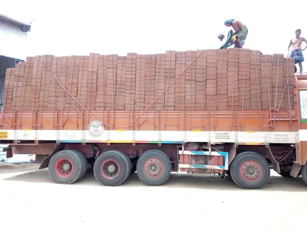 coco peat fertilizer / Powder