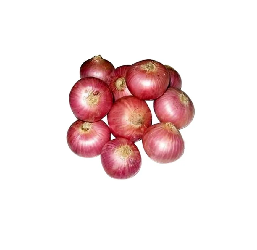 HOT SALE fresh red onion/yellow onion for wholesale cheap price FREE TAX from Vietnam (50033894071)