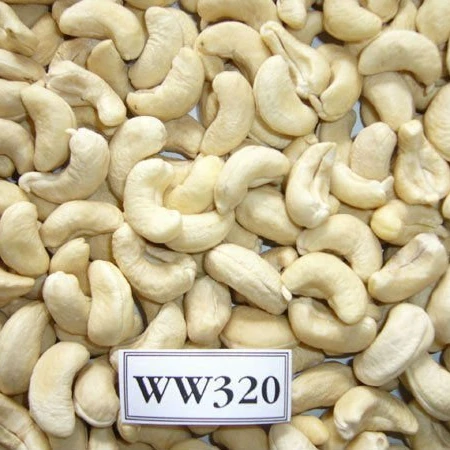 
Vietnam cashew nut, cashew kenel , cashew without shell 