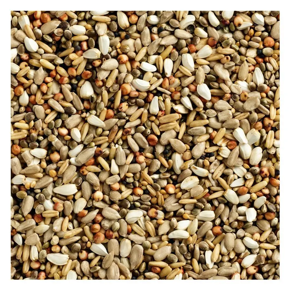 Ukrainian Factory Supplies Best Selling Pigeons Mixed Food for Bird Feed Seeds Wholesale Energy