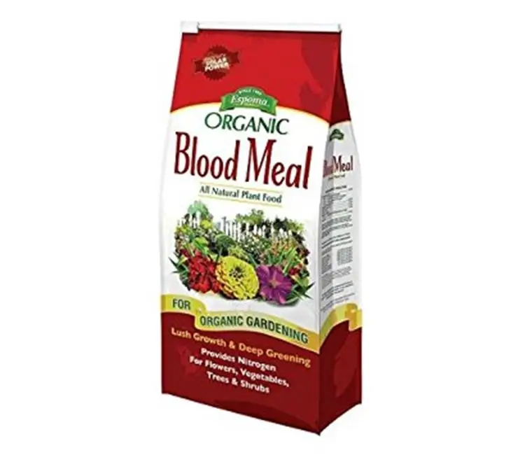 Blood Meal