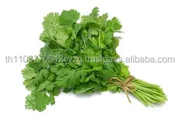  Сушеный тайский Кориандр (петрушка) 100% натуральный продукт из