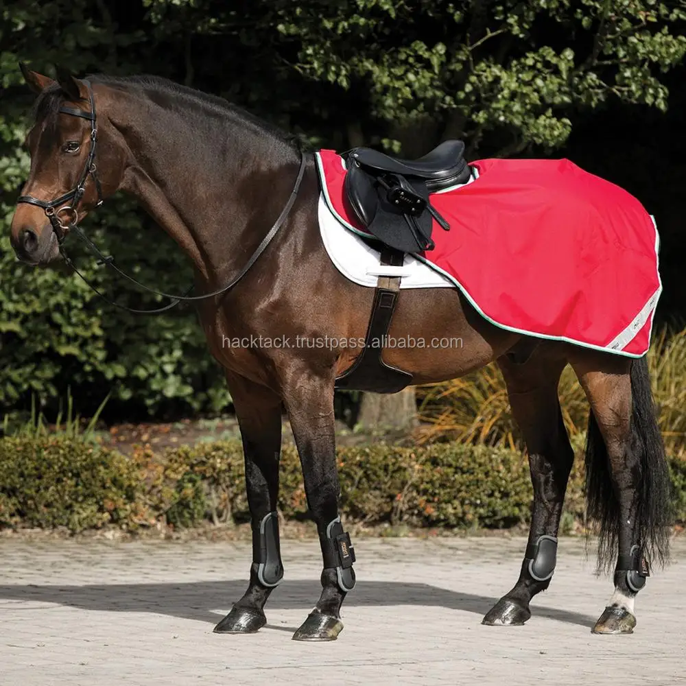 Equisafety Hi Viz Winter Wraparound Exercise Horse Quater Riding On Sheet Rug