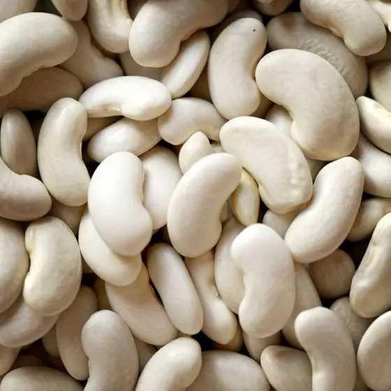 
Hot sale delicious dried lima beans white big size 