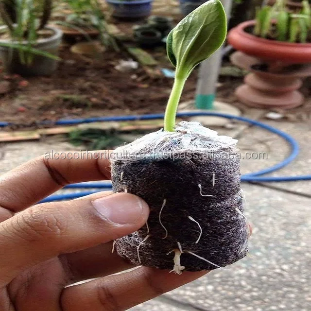 Coco Peat Pellets with good expanding capability