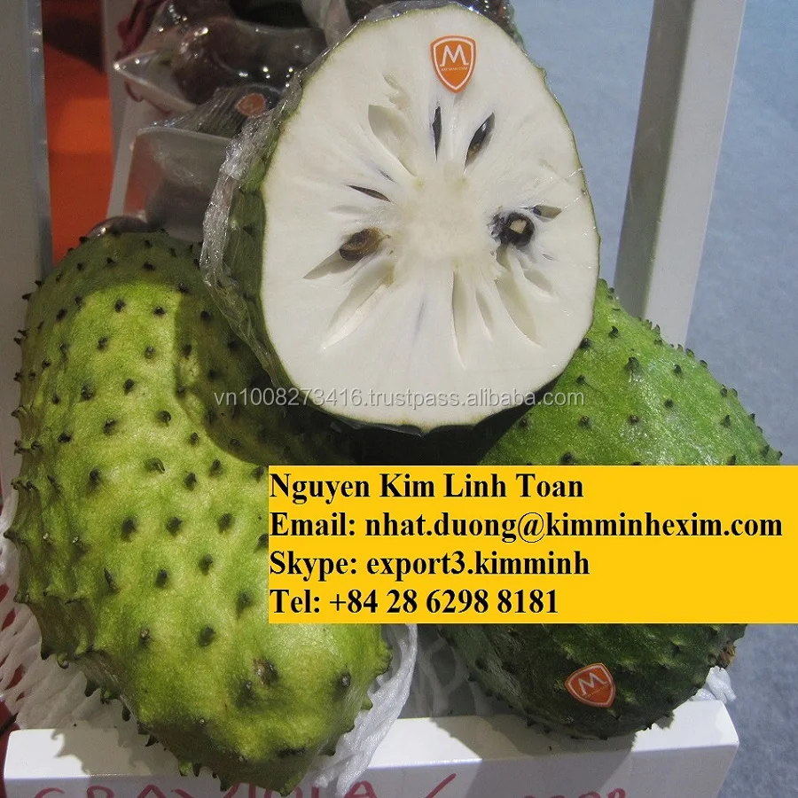 Grade A Fresh Green Graviola Fruit With Cheap Price
