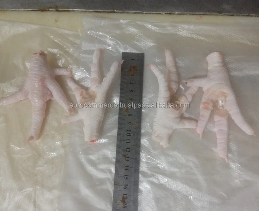 Frozen chicken paws B grade from Ukraine