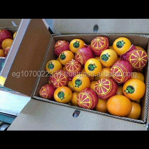 navel oranges