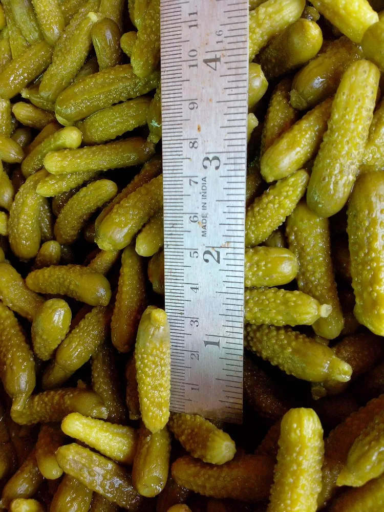 
GHERKINS / CORNICHONS IN ACETIC ACID 