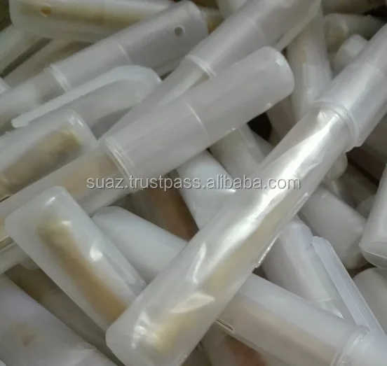 Miswak with holder Miswaak cover price , Cheap Peelu Miswaks Custom brand Miswak Sticks Vacuum Sealed , Bulk Miswak Sewak