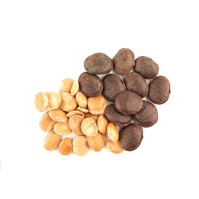 Sacha Inchi Seeds Wholesale - Inca Peanut - Peru Sacha Inchi