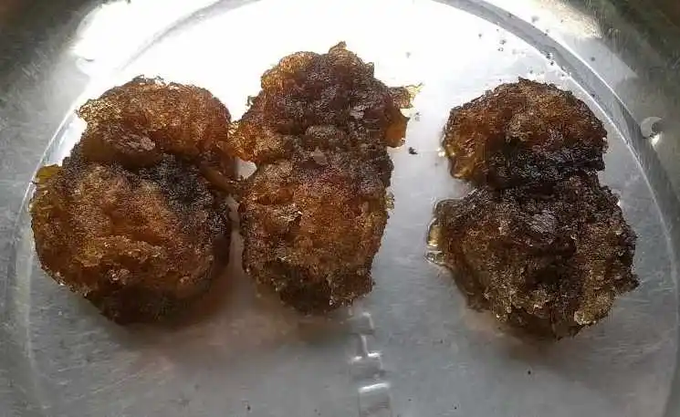 DRIED MALVA NUT / PANG DA HAI /Sterculia Lychnophora WHATSAPP+84-845-639-639