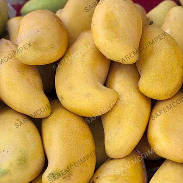 
Top Quality Mango Supplier From Pakistan 