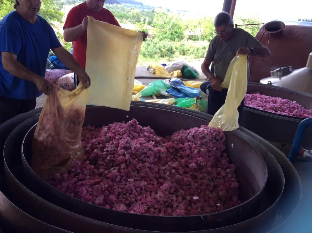  Комплект эфирных масел на водной основе для свечей из Болгарии высокого качества