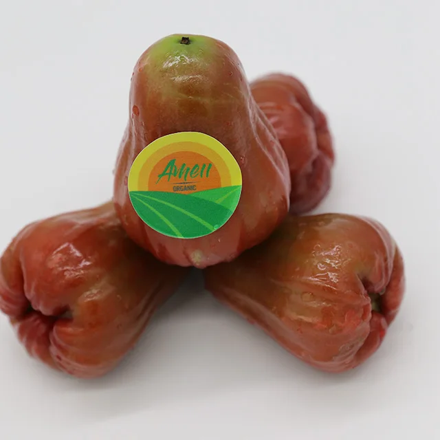 FRESH BELL PRUIT из Вьетнама