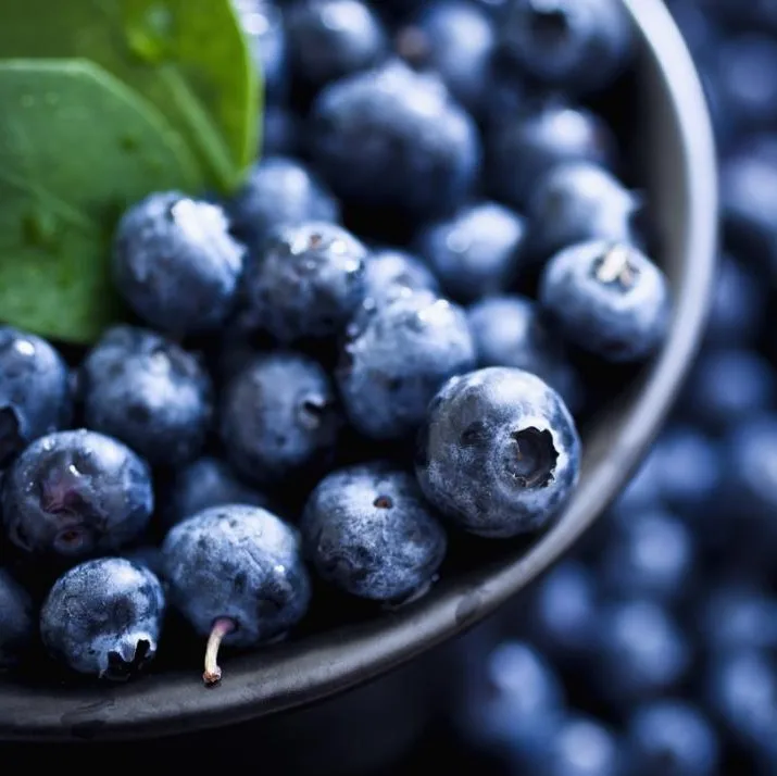 
New Crop High Quality Blueberry 