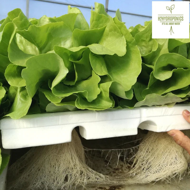 Hybrid hydroponics for vertical garden, farming and aquaponics