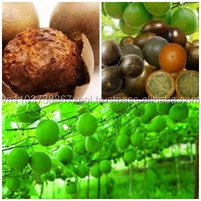 DRIED MONK FRUIT BEST SELL/ HIGH QUALITY MONK FRUIT