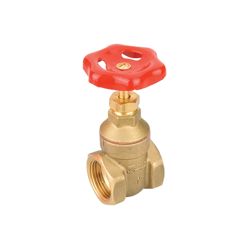 DN100 Gate Valve