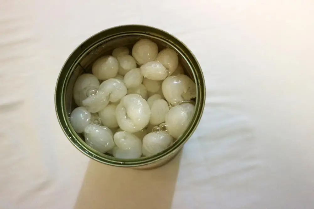 Fresh longan / Dried longan from Vietnam /Holiday