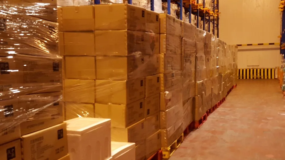 Malaysia Top Selling Frozen Kampung Durian Paste Seedless