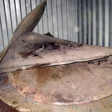 Корабль Propellor (ALBC3 /Mn бронза)