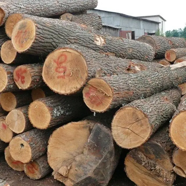 White Oak timber for furniture