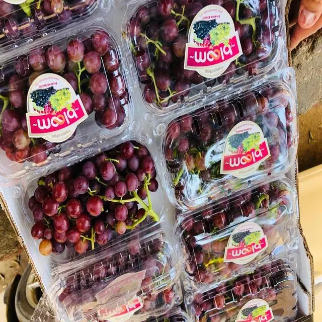 Quality Fresh Seedless Grapes Available in All Colors