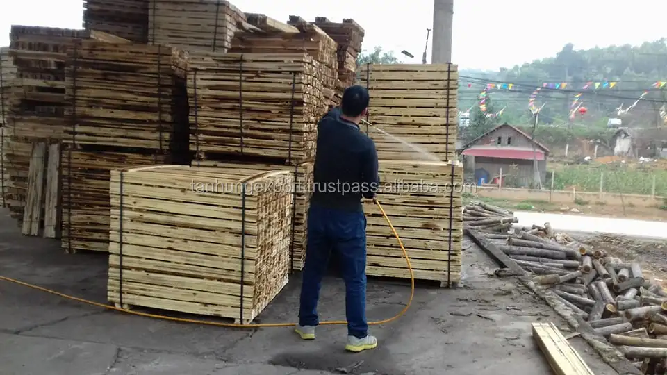 
Acacia sawn timber - acacia wood - Acacia timber making pallet selecting well 