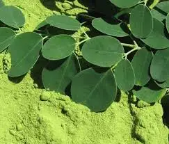 Экстракт листьев монриги в порошке для здоровья WHATSAPP + 84 845 639 639