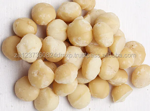 
BEST QUALITY MACADAMIA NUTS / CLASS 1 MACADAMIA NUTS 