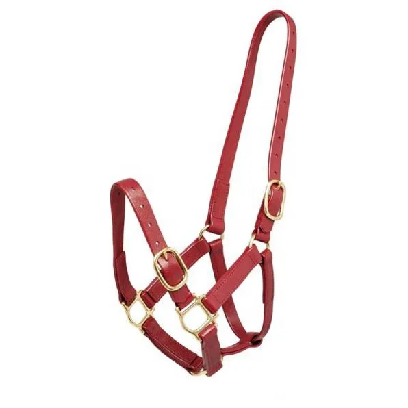 Холтер из ПВХ с разными цветами