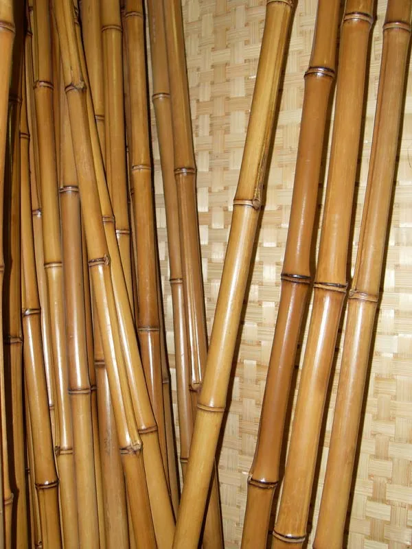 wholesale for Cheap Natural Dry Raw Bamboo Poles/Sticks/Canes