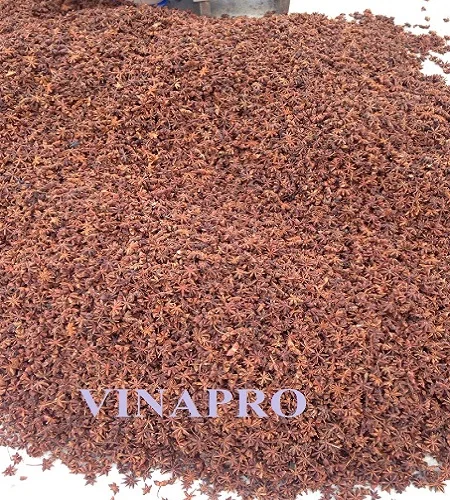 Звездный анис