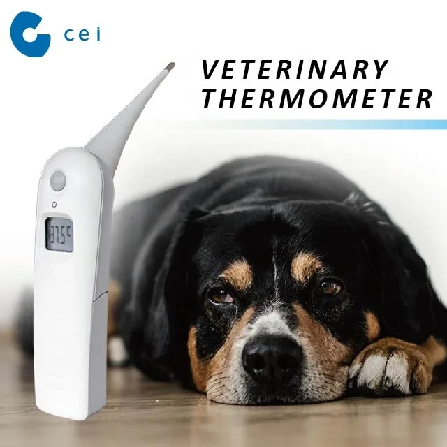 Best Veterinary Clinic Equipment Animal Thermometer Pet Health Care