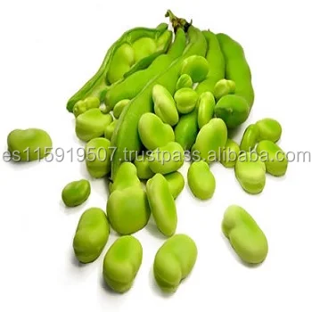 
Green Bean from Spain 