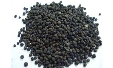 2021 Wholesale Top quality Best Price Newcrop dried black pepper Dried Bulk Black Pepper Machine Cleaned from Viet Nam
