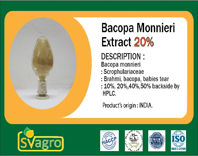 Pure Bacopa Monnieri extract 20% water hyssop Brahmi thyme leaved Gratiola herb of grace Indian pennywort