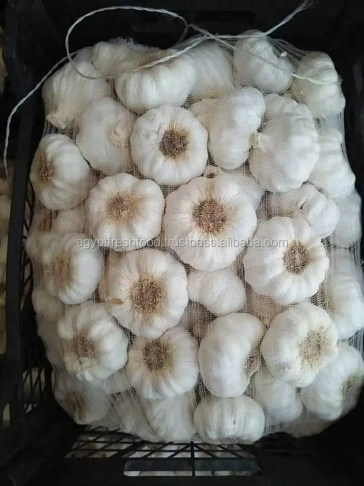 
Fresh White Garlic , Purple Garlic for sale ready to export from Egypt season 2020 