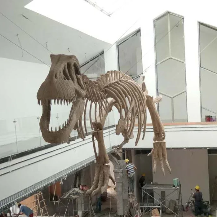 Simulation authentic dinosaur fossils for sale
