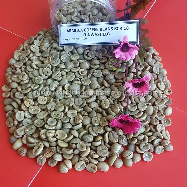 (+84 972678053 (whatsapp)) GREEN COFFEE BEAN ROBUSTA, ARABIA