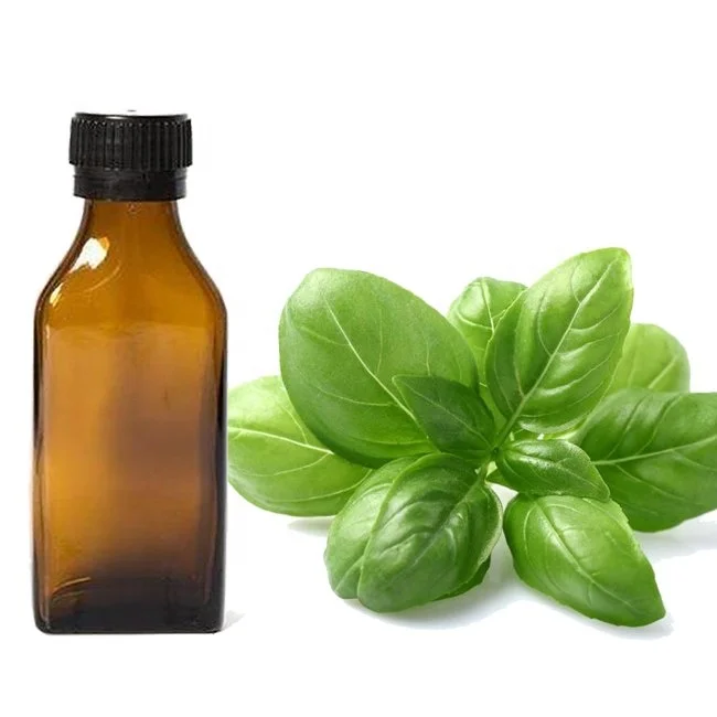 100% Pure And Natural Basil Oil / Basil Essential Oil help improve blood flow at Lower Price From India