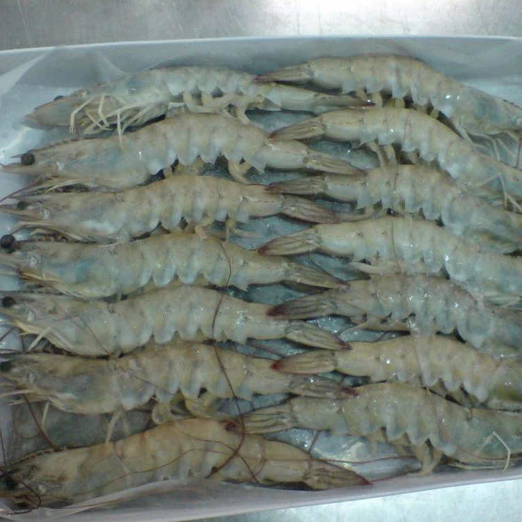 Замороженные Черные Тигровые Креветки от крупнейшей фабрики IPO во Вьетнаме